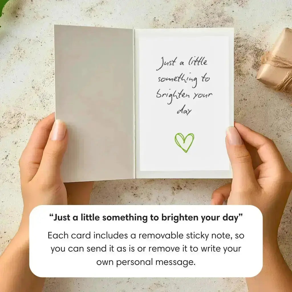 Rosy Radiance PetalPal