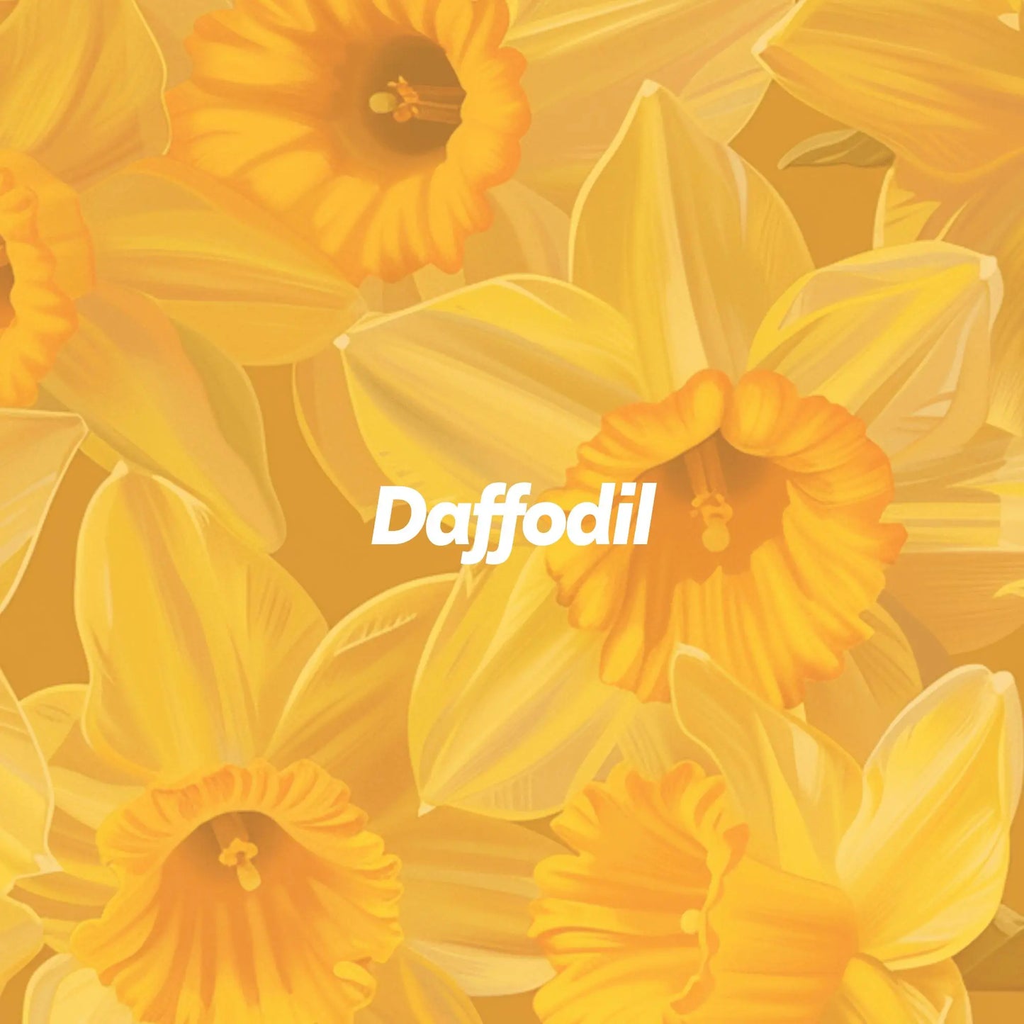 Daffodil Aroma Diffuser PetalPal