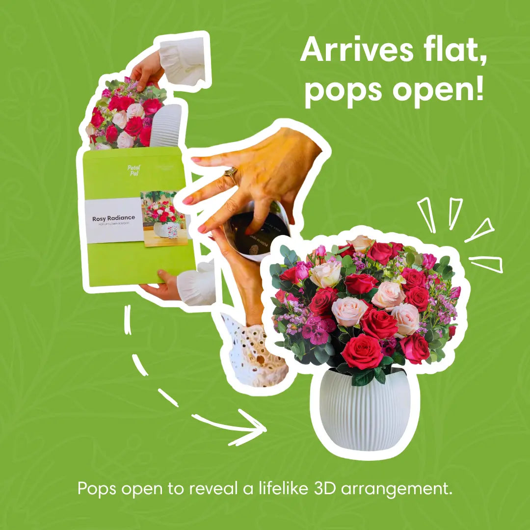 Rosy-Radiance-PetalPal