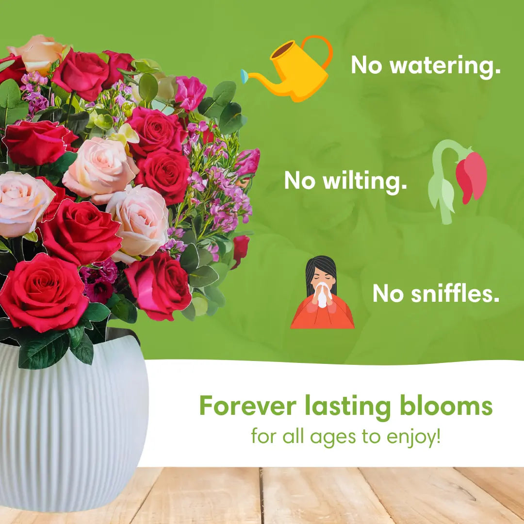 Rosy-Radiance-PetalPal